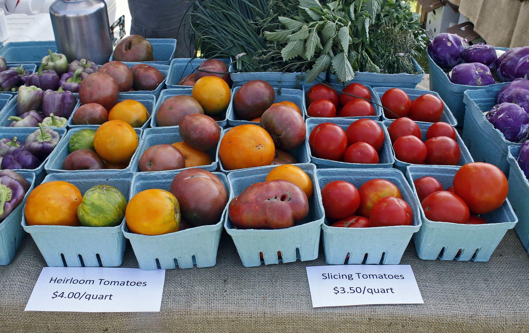 Hanover tomatoes